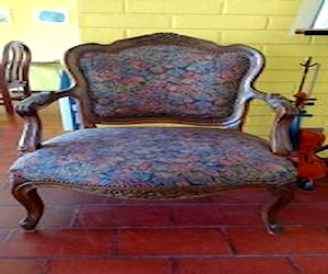 <p>Sillon Luis 15</p>