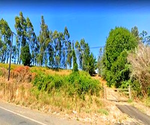 Camino huichahue a orilla de carretera