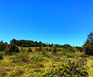 parcela de 5000 M2 en Puerto Montt, secto