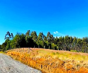 Parcela en venta en chiloé &#8230;