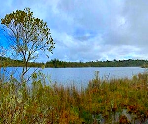 PARCELA "LAGUNA QUEMCHI", Quemchi, Chiloé Quemchi