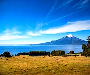 PARCELA Camino a Ensenada KM 32 Puerto Varas