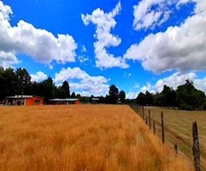 PARCELA PLANA A ORILLA DE CARRETERA Valdivia