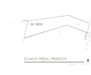 Imagen de galería