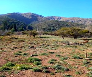 Sitio EL MELOCOTÓN -SAN JOSÉ DE MAIPO &#8230;