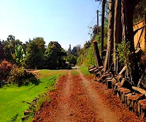 SITIO Alvaro Casanova La Reina