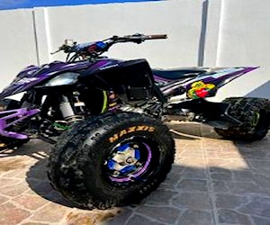 Yamaha yrr 450r se