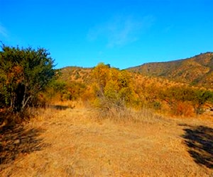 PARCELA Jardín Alto / Los Capachos / Curaca&#8230;