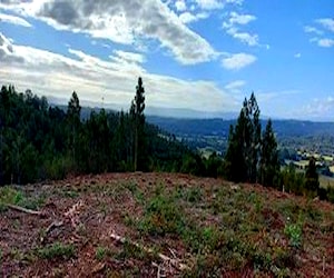 Campo cerca de valdivia con buena vista panorámica