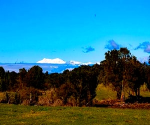 PARCELAS EN TRAPEN DE 5000m2