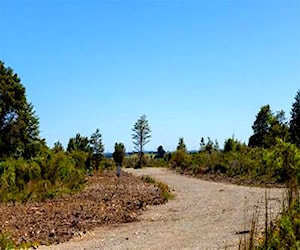 OTROS Bosques del Tepual Puerto Varas