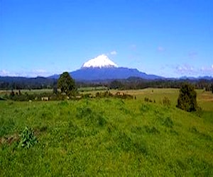 AGRICOLA Camino a Ensenada Puerto Varas