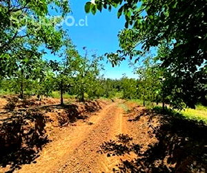 Campo terreno 15,81 ha san rafael vii región