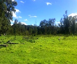 AGRICOLA Los Maitenes , Puerto varas Puerto Varas