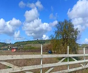 Sitio/Terreno A 6 minutos de Litueche Litueche