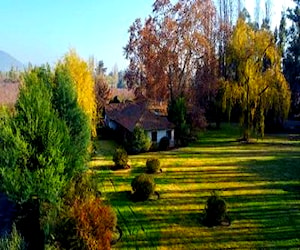 Campito 9 Hectáreas En Tipaume, Rengo