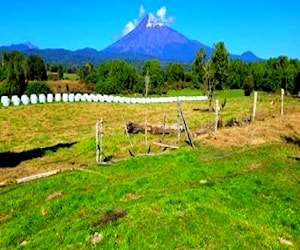 Sitio/Terreno puerto klocker Osorno