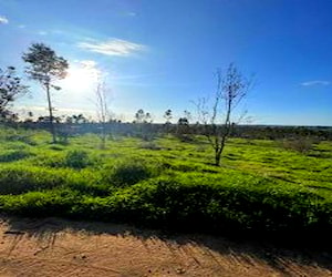 Terreno en Litueche