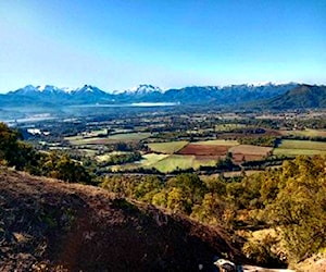 17 há en sector precordillerano de San Clemente