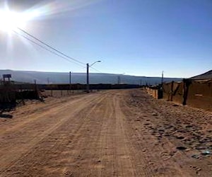 Venta terreno 5000 m2 en sector Acha, Arica