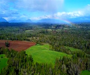 AGRICOLA Lago ranco La Unión