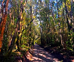 Parque los volcanes &#8230;