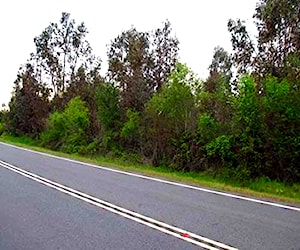  Terreno Orilla Carretera Pelarco