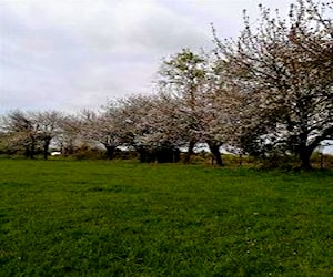 Parcela sector el parron RíO Negro