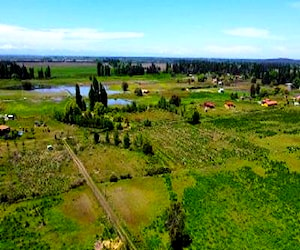 AgríCola PARCELA PLANA A 10 MINUTOS DE BULNES