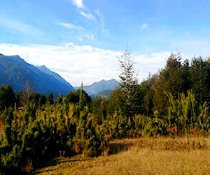 Parcela Miradores de Huife PucóN