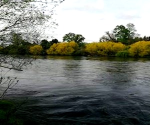 PARCELA Rio Rahue Osorno