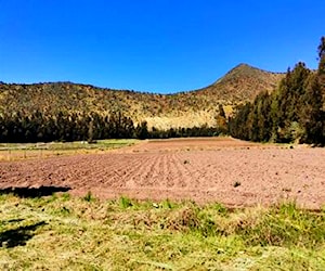 Terreno agrícola de 8 hectáreas, en Naltagua