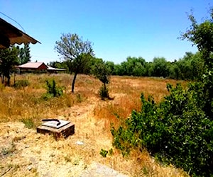 Parcela en Yerbas Buenas, Linares