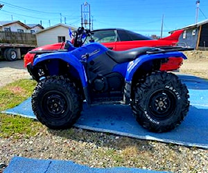 Yamaha grizzly