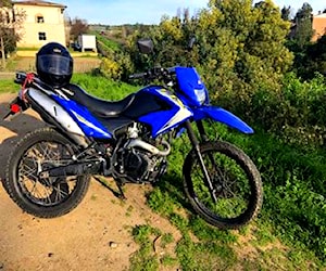 Motorrad New ttx 250