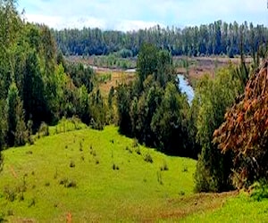 Parcelas con orilla de río a 15 min de Valdivia