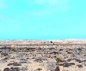 SITIO Punta de Choros - Muelle San Agustín &#8230;