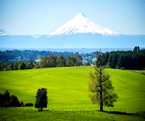 TERRENO CONSTRUCCION Riachuelo Osorno