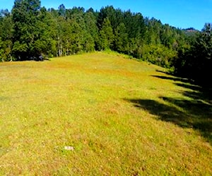 Hermosa Parcela con monte nativo en Loncoche-Molco