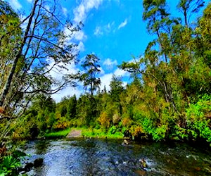 Sitio Campo Lindo Puerto Clocker Puerto Octay