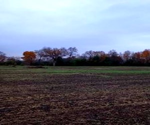 parcela de 5.200 mts cuadrados. 