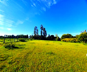 Sitio Av Las Trancas Los Angeles