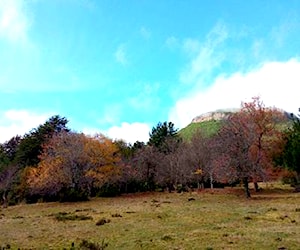 Hermosas parcelas a 17 km de Cunco con acceso a r