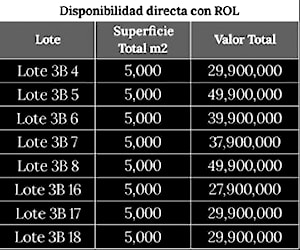 Imagen de galería