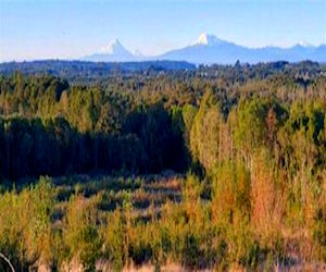 Agricola Ilque Puerto Montt