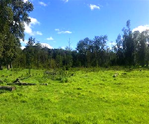 Sitio Los Maitenes Puerto varas