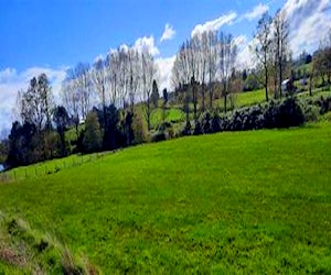 Sitio Lago Ranco RíO Bueno