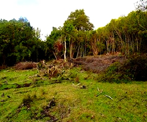 Sitio Campo DON ANGELO Lago Blanco Segundo Corral