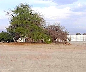  terreno la huayca 1 ha, orilla carretera