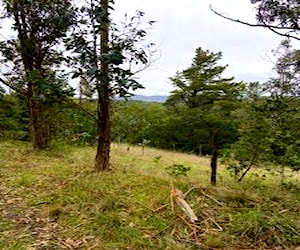 Fundo los olivos de queime de 49,7 hectareas